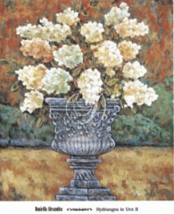 Hydrangea In Urn II