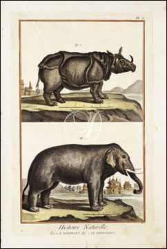 L'Elephant & Rhinoceros