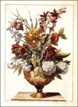 Floral in Urn I