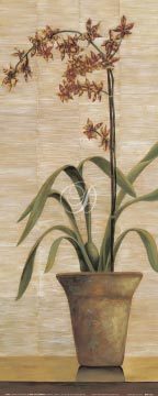 Orchid In Terra Cotta Pot I