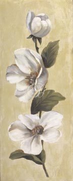 Magnolia Vine IV