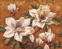 Magnolia Fantasy I