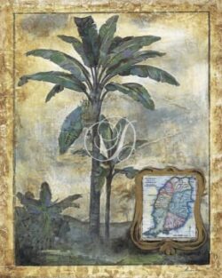 Tropical Antiquity I (sm)