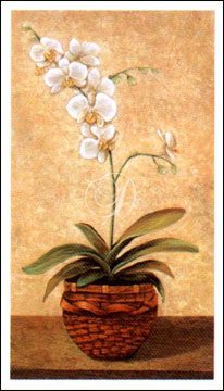 Orchid In Wicker Basket II