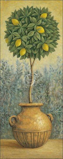 Lemon Topiary