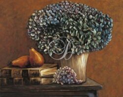 Hydrangeas Still Life II