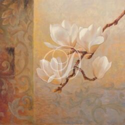 Asian Magnolias I