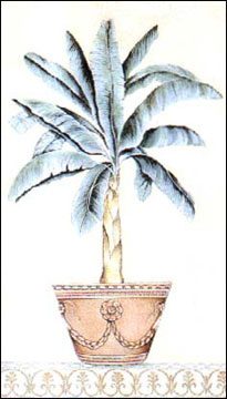 Palm Topiary II