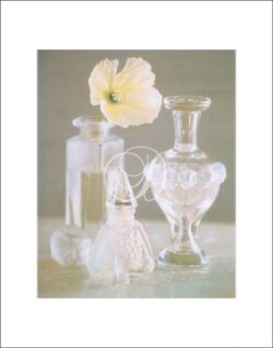 Victorian Scents II