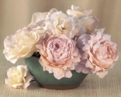 Tea Roses in Raku Bowl