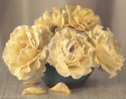 Yellow Roses in Raku Bowl