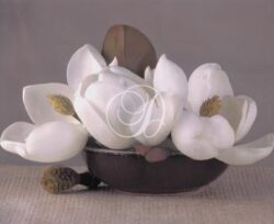 Magnolias In Raku Bowl II