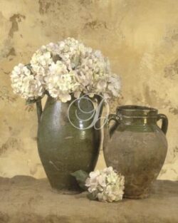 Vases With White Hydrangeas II