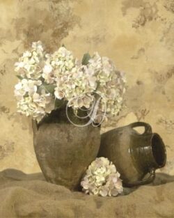 Vases With White Hydrangeas I